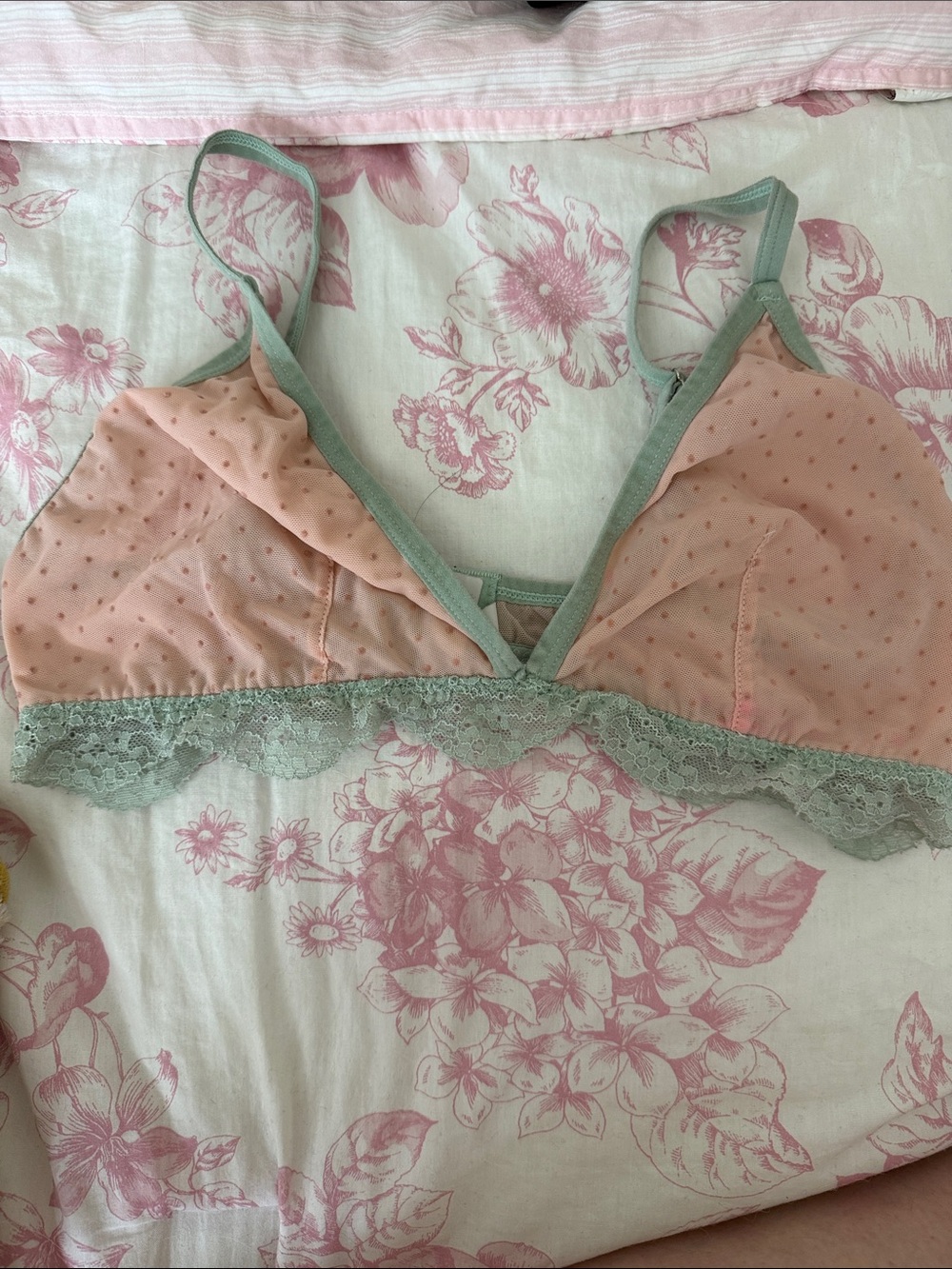 Peach Mesh Lace Bralette with Sage Trim